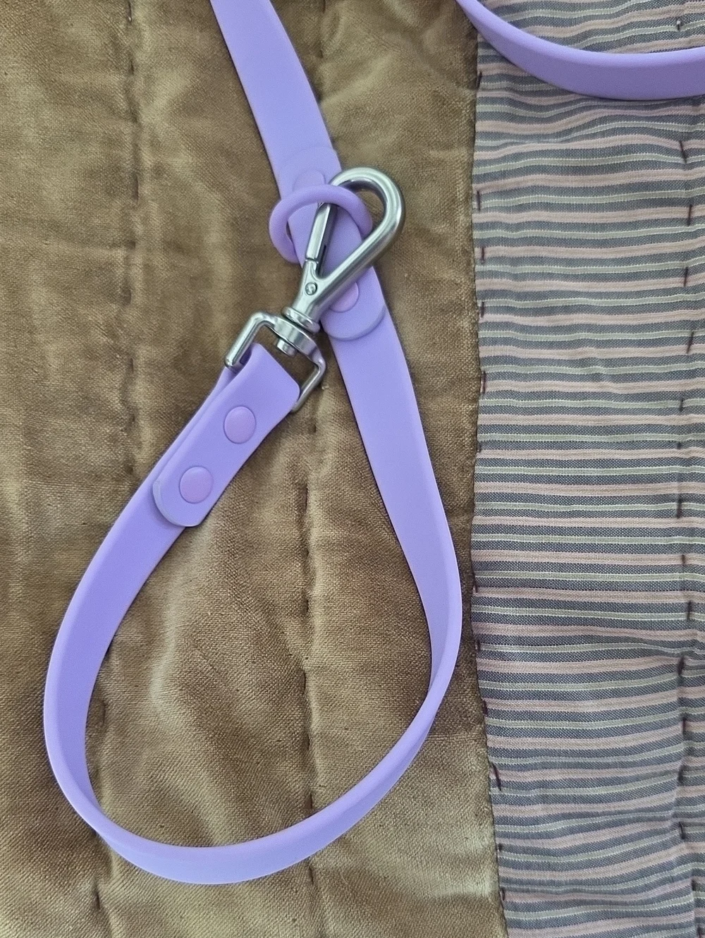 6' Waterproof Silicone Hands Free Dog Leash - Lavender Lead & Free Drink Holder